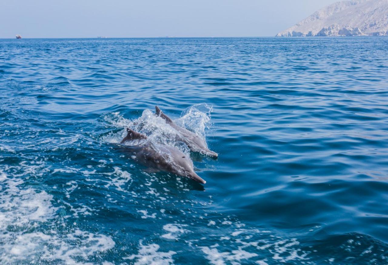 Atana Musandam Resort Jasab Exterior foto